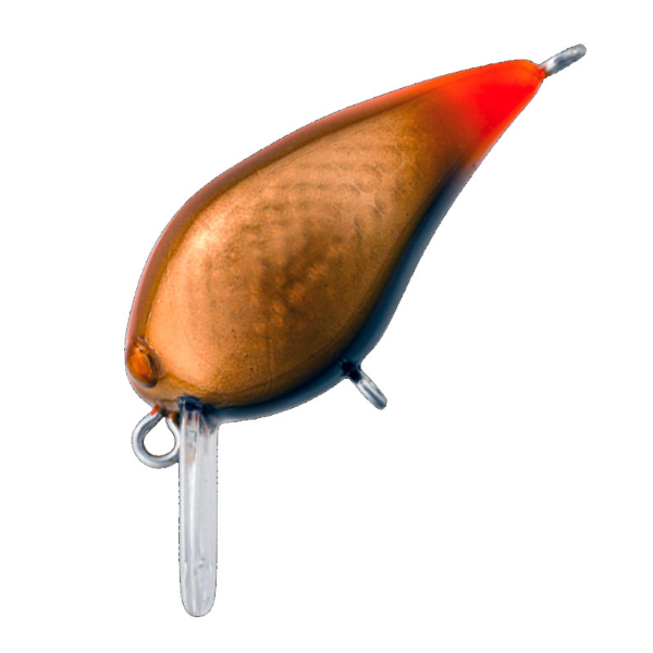 ＭＩＮＩ　ＫＵＲＡ　Ｆ(＃１６　コパオレ)